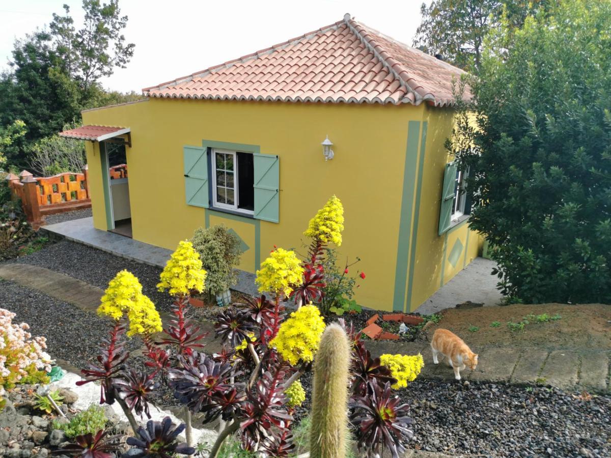 Apartment Irana Del Bosque Brena Baja