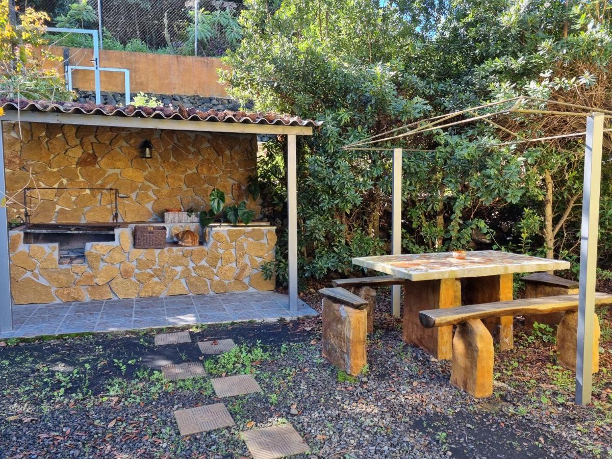 Irana Del Bosque